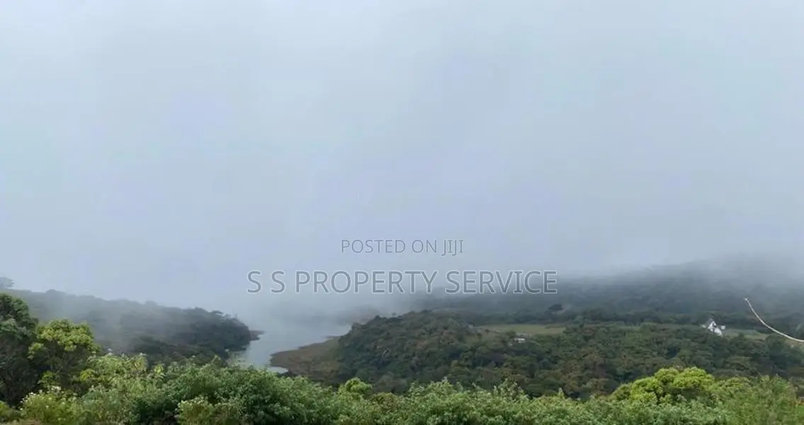 Land For Sale in Nuwara Eliya (SSPL-437)