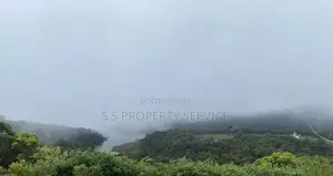 Land For Sale in Nuwara Eliya (SSPL-437)