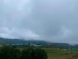 Land For Sale in Nuwara Eliya (SSPL-437)