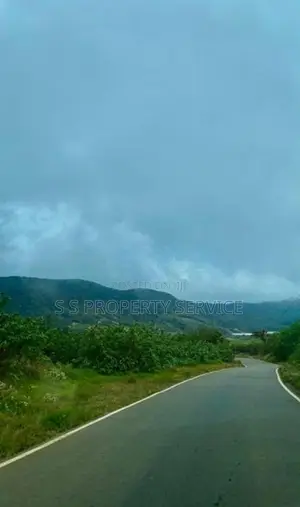 Land For Sale in Nuwara Eliya (SSPL-437)