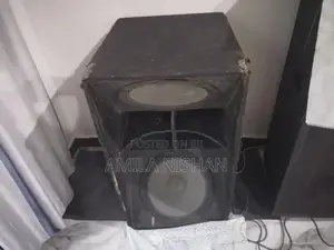 15 Inch Double Bass Bin