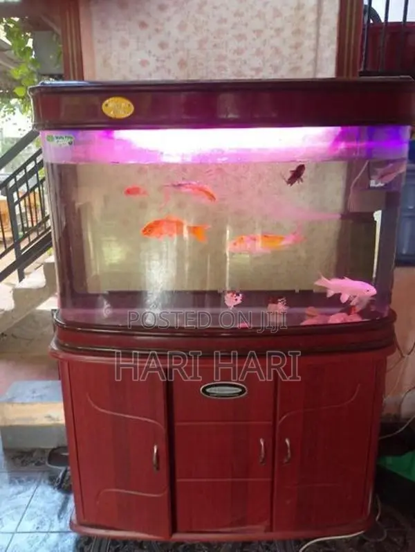 Fish Tank