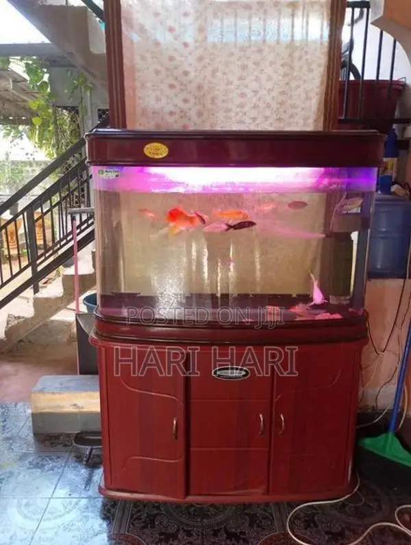Fish Tank