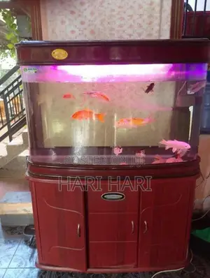 Fish Tank