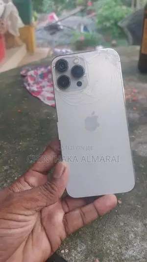 Apple iPhone 13 Pro Max (Used)