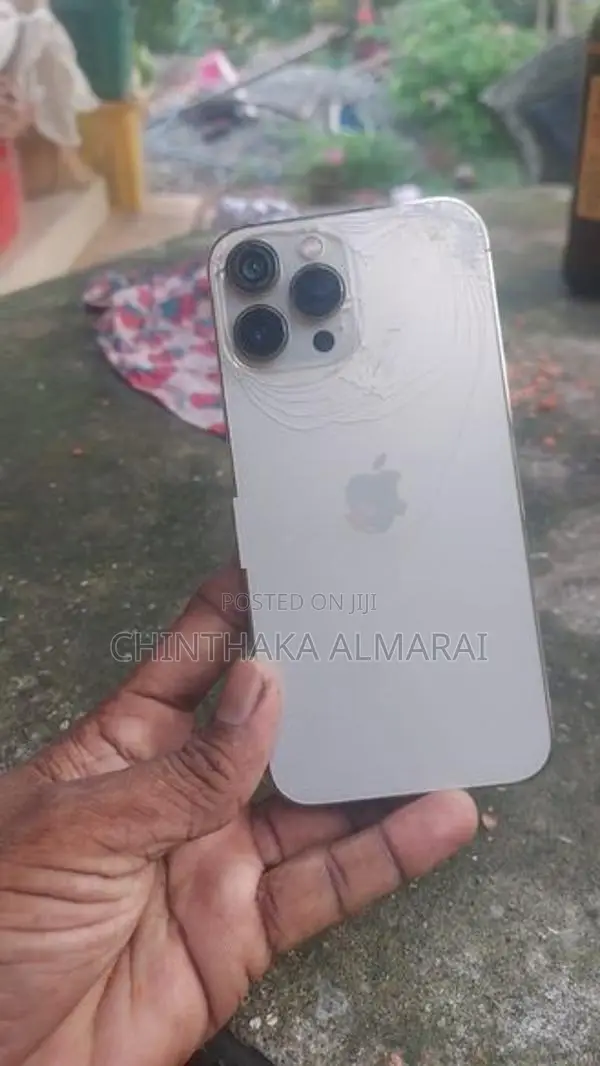 Apple iPhone 13 Pro Max (Used)