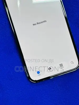 Apple iPhone 13 Pro Max (Used)