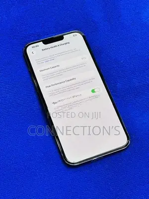 Apple iPhone 13 Pro Max (Used)