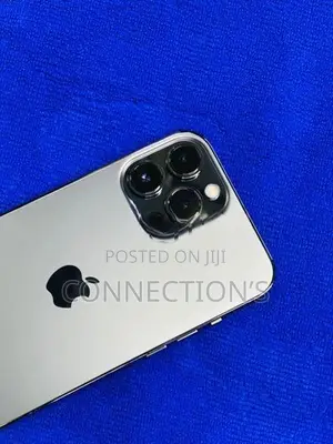 Apple iPhone 13 Pro Max (Used)