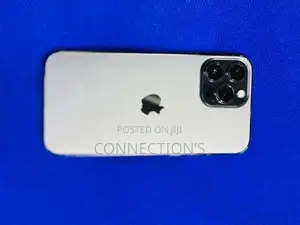 Apple iPhone 13 Pro Max (Used)