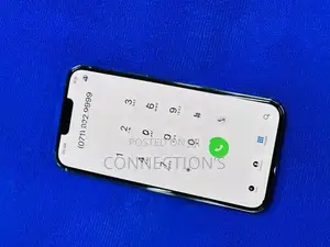 Apple iPhone 13 Pro Max (Used)