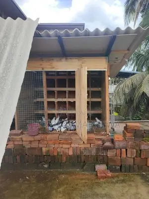 Pigeon Cage
