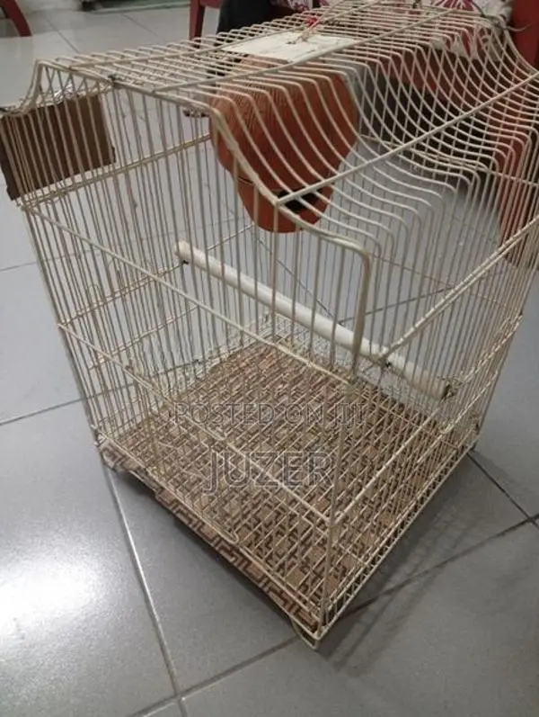 Birds Cage