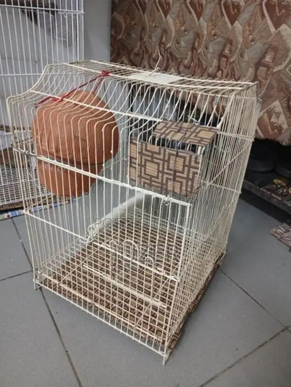 Birds Cage