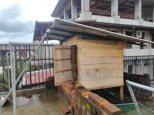 Pigeon Cage