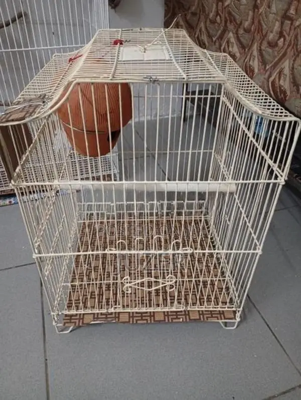 Birds Cage