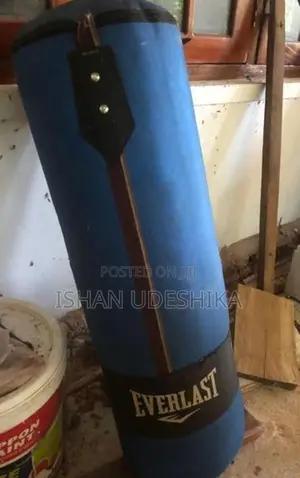 Punching Bag