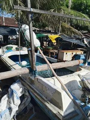 Yamaha 25 Boat