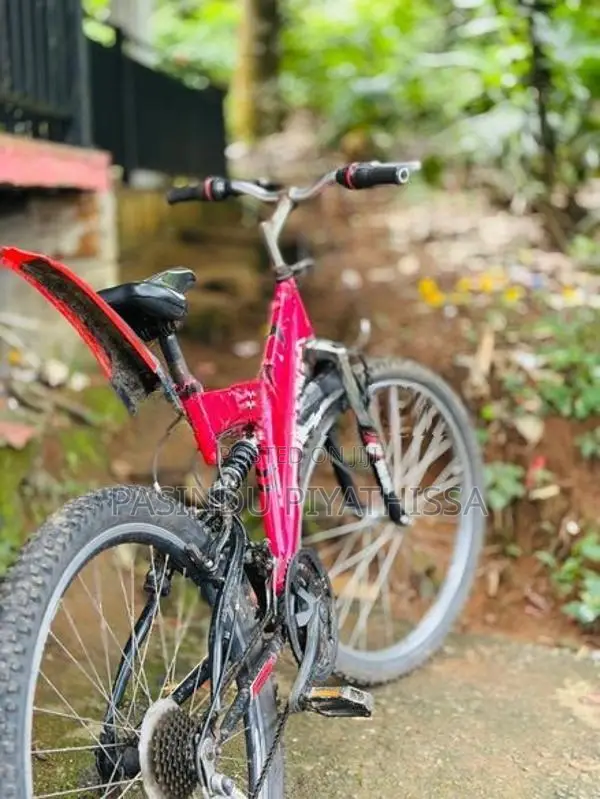 Bicycle