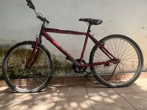 Tomahawk Bike 2024