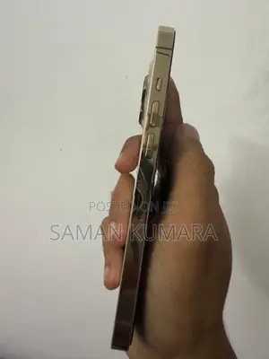 Apple iPhone 13 Pro (Used)