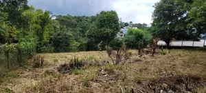 Land for Sale at Galaha Kandy