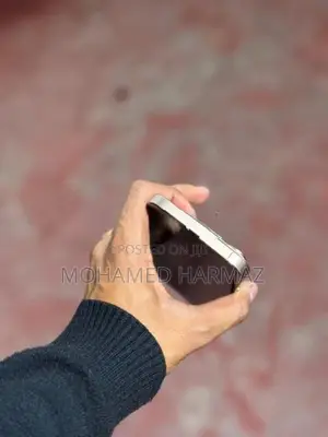 Apple iPhone 16 Pro Max (Used)