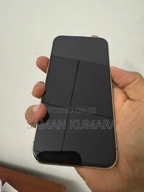 Apple iPhone 13 Pro (Used)