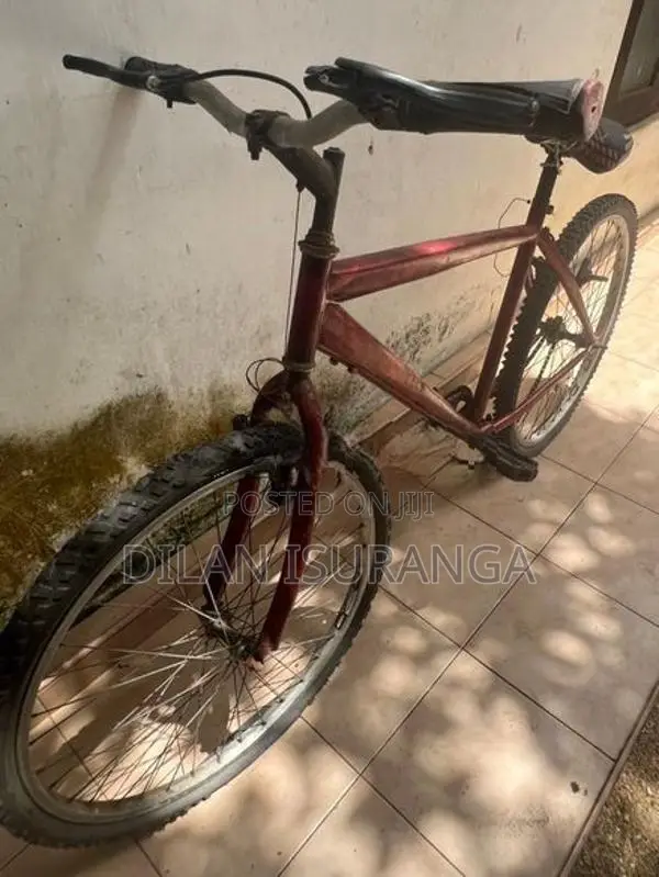 Tomahawk Bike 2024