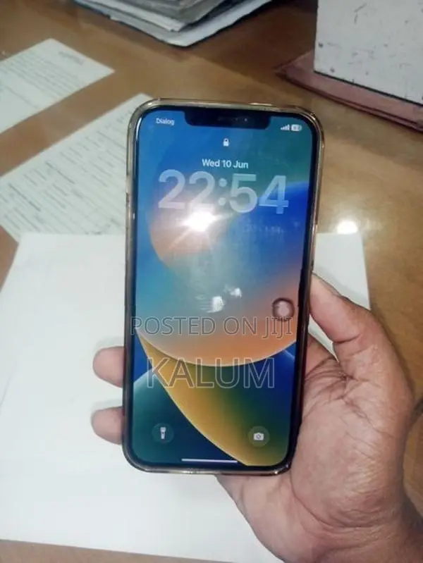Apple iPhone 12 Pro Max 256GB (Used)