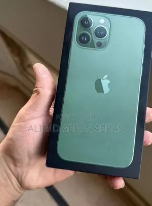 Apple iPhone 13 Pro Max (Brand New)