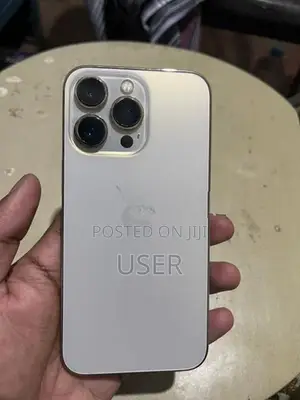 Apple iPhone 13 Pro (Used)