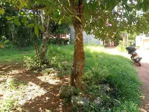 Yakkala Kalagedihena Land for Sale