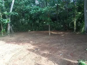 Maravila Godawela Land for Sale