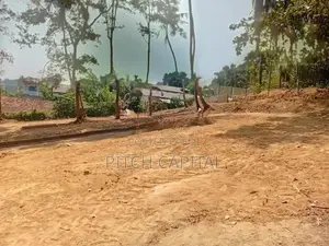 Wonderful Beach Front Land Plot Midigama