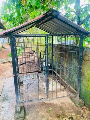 Dog Cage