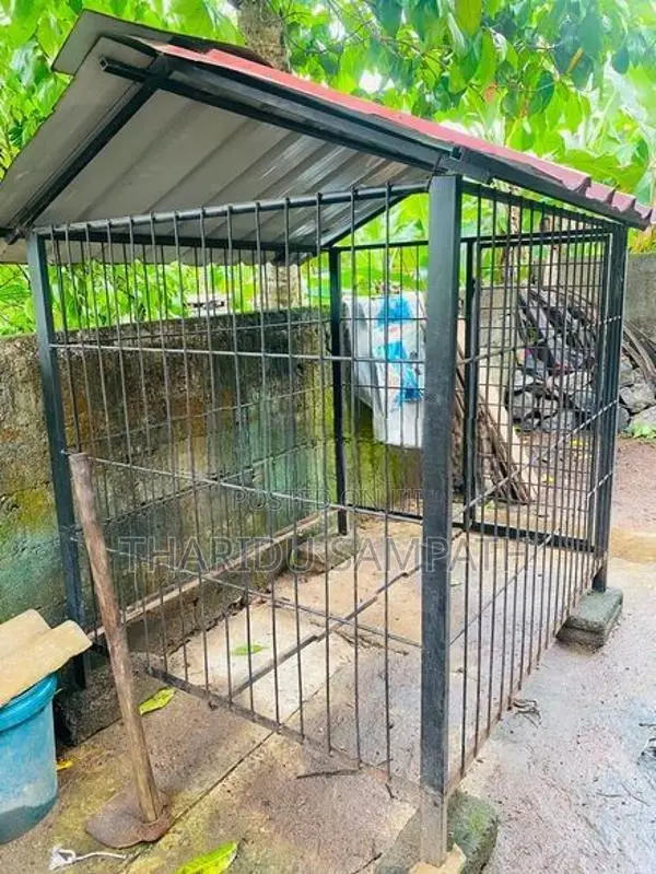 Dog Cage