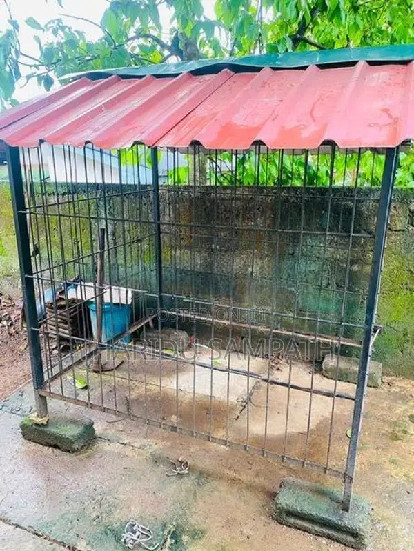 Dog Cage