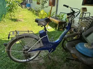 Electric Bicycle