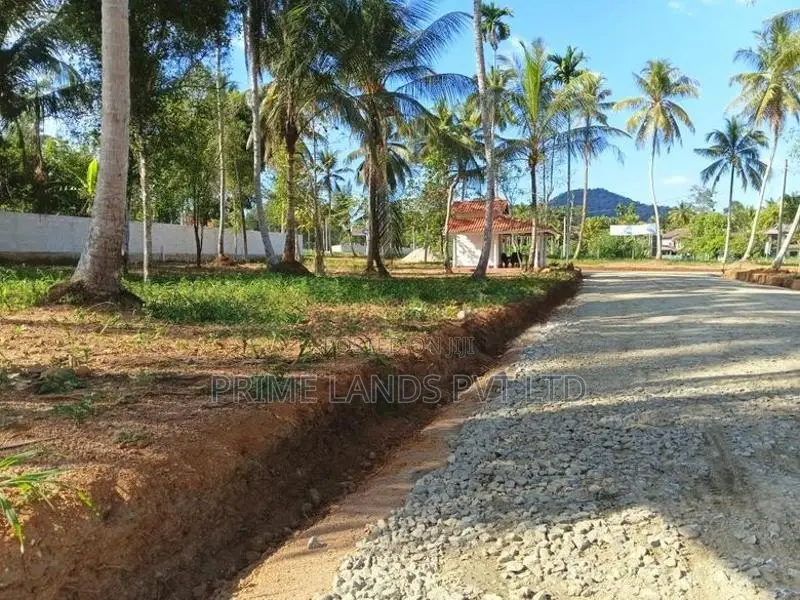 අලව්ව නගරයට ඇවිදින දුරින් ඉඩමක් විකිණීමට