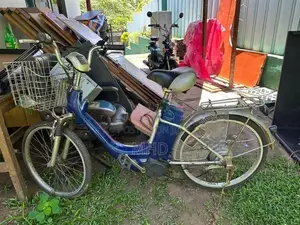 Electric Bicycle