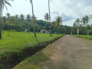 නාරම්මල ඉඩමක් විකිණීමට