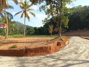 අලව්ව නගරයට ඇවිදින දුරින් ඉඩමක් විකිණීමට
