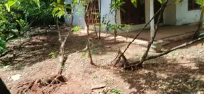 Land for Sale Papiliyana
