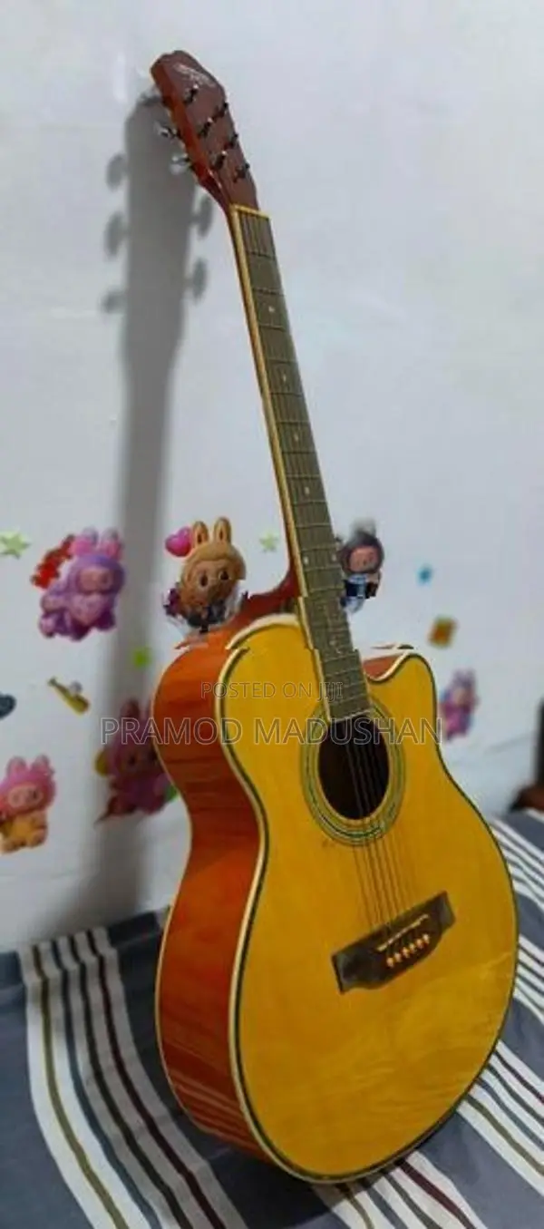 Guitar