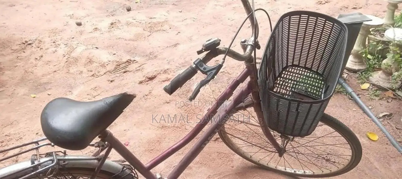DSI පාපැදි