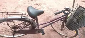 DSI පාපැදි