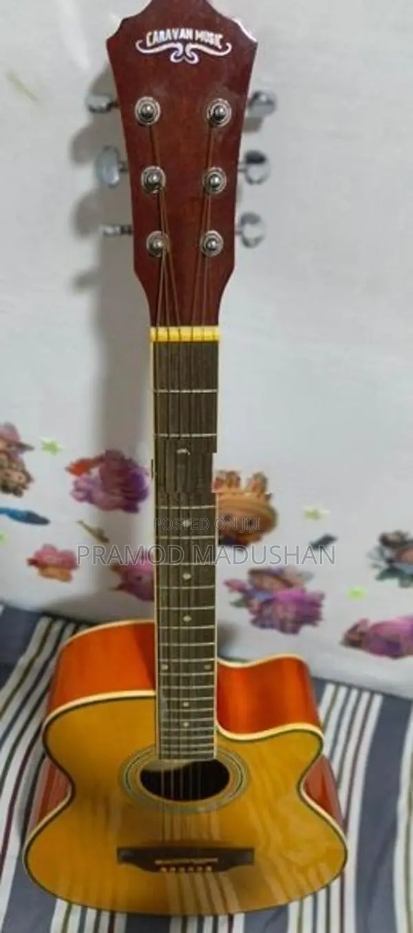 Guitar