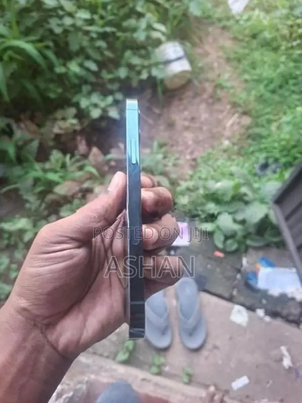 Apple iPhone 12 Pro (Used)