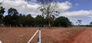 Land for Sale in Anuradhapura Mahabulankulama